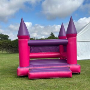 Standard Pink & Purple